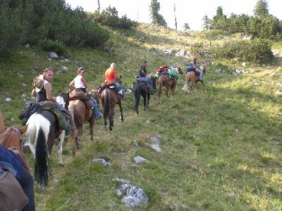Escursione a cavallo attraverso un paesaggio verde