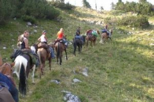 Gruppo di persone in escursione a cavallo nella natura.