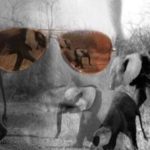 Volto di una persona con occhiali da sole riflettenti la fauna africana