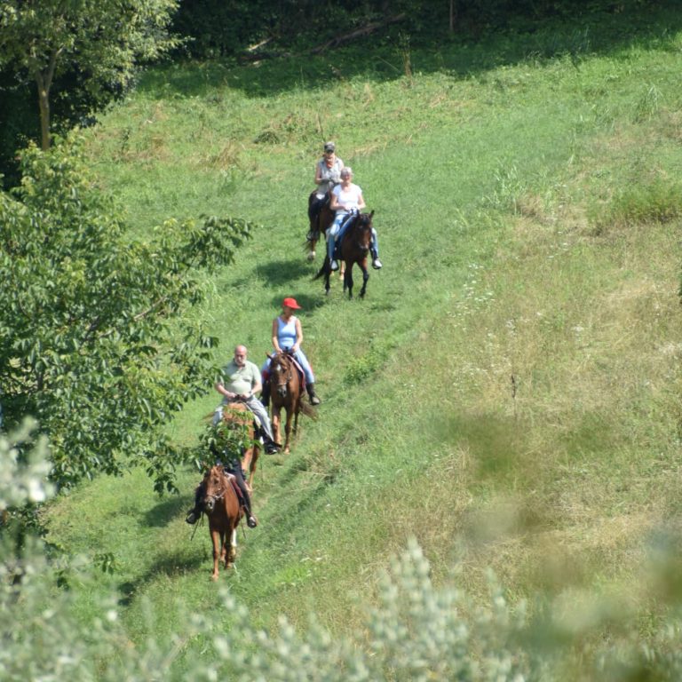 Gruppo di persone a cavallo su un sentiero verde
