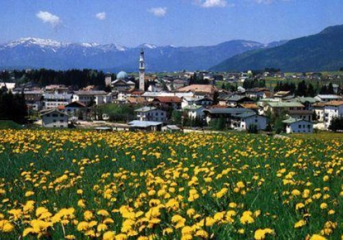 asiago